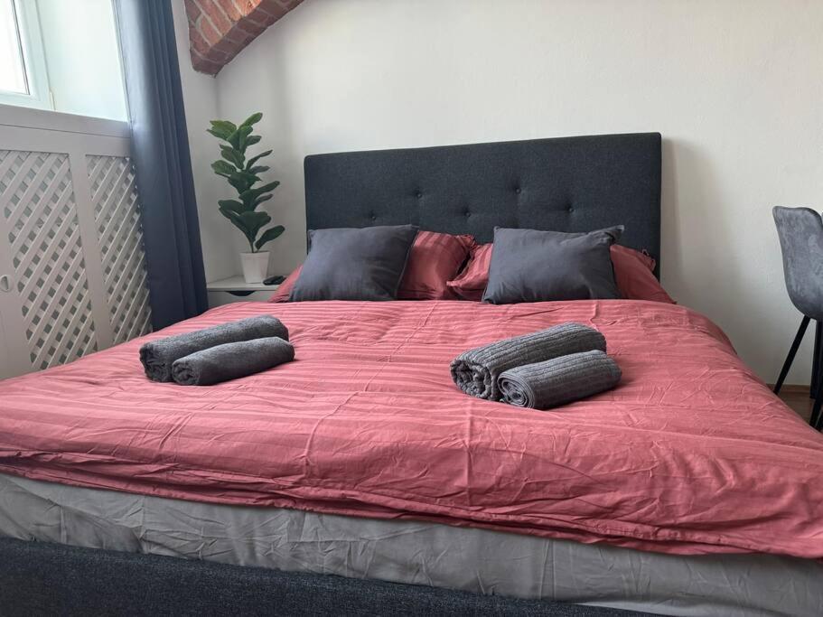 Classy Premium Apartament Viena